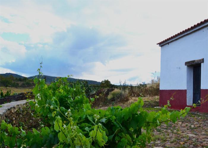 Casa Rural El Abuelo Alonso La Codosera 外观 照片